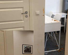 Butų valymas - Butų, Ofisų, namų, langų ir cheminių baldų valymo paslaugos. - 4