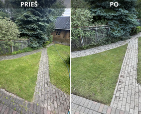 Srautinis valymas / Frešiukas / Darbų pavyzdys ID 3470174