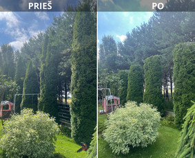 Aplinkos tvarkymas, apželdinimas / Darius Rupšlaukis / Darbų pavyzdys ID 3470232