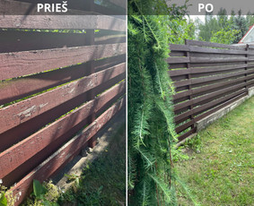 Aplinkos tvarkymas, apželdinimas / Darius Rupšlaukis / Darbų pavyzdys ID 3470234