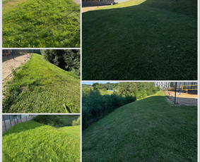 Žolės pjovimas, skarifikavimas , tręšimas, purškimas - Pievų šienavimas - 4 Pievų šienavimas - Žolės pjovimas, skarifikavimas , tręšimas, purškimas - 4