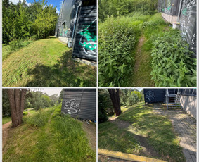 Žolės pjovimas, skarifikavimas , tręšimas, purškimas - Pievų šienavimas - 3 Pievų šienavimas - Žolės pjovimas, skarifikavimas , tręšimas, purškimas - 3
