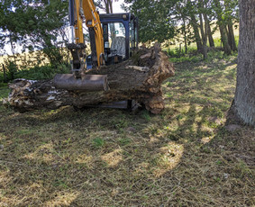 Ekskavatoriaus nuoma. Savivarčio paslaugos.sniego valymas. / Kasimo darbai / Darbų pavyzdys ID 3471098