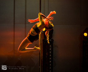 Pole dance pasirodymai. Oro akrobatika. Vipera / Eglina Mažeikienė / Darbų pavyzdys ID 3471292