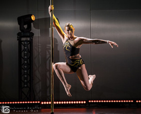 Pole dance pasirodymai. Oro akrobatika. Vipera / Eglina Mažeikienė / Darbų pavyzdys ID 3471296