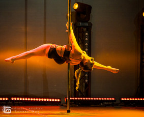 Pole dance pasirodymai. Oro akrobatika. Vipera / Eglina Mažeikienė / Darbų pavyzdys ID 3471298