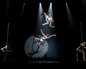 Pole dance pasirodymai. Oro akrobatika. Vipera / Eglina Mažeikienė / Darbų pavyzdys ID 3471302