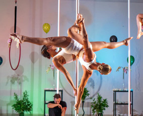Pole dance pasirodymai. Oro akrobatika. Vipera / Eglina Mažeikienė / Darbų pavyzdys ID 3471312