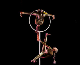 Pole dance pasirodymai. Oro akrobatika. Vipera / Eglina Mažeikienė / Darbų pavyzdys ID 3471340