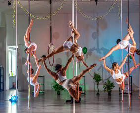 Pole dance pasirodymai. Oro akrobatika. Vipera / Eglina Mažeikienė / Darbų pavyzdys ID 3471350