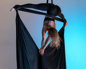 Pole dance pasirodymai. Oro akrobatika. Vipera / Eglina Mažeikienė / Darbų pavyzdys ID 3471358