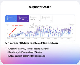 #1 Google Ads Reklama, Google Seo, Ai Seo ir Google Maps Seo / Vilius Jankeliūnas | MB Manvi Media / Darbų pavyzdys ID 3471392