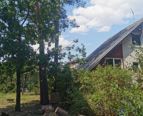 Avarinių medžių pjovimo paslaugos. / Rimas. M.- (Aboristas) / Darbų pavyzdys ID 3471486