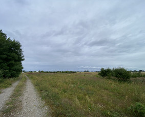 Vejos įrengimas, trinkelių klojimas / Dirvita / Darbų pavyzdys ID 3471904