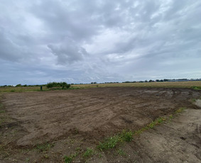 Vejos įrengimas, trinkelių klojimas / Dirvita / Darbų pavyzdys ID 3471916