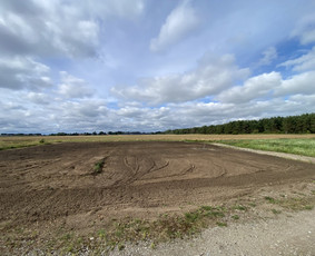Vejos įrengimas, trinkelių klojimas / Dirvita / Darbų pavyzdys ID 3471918