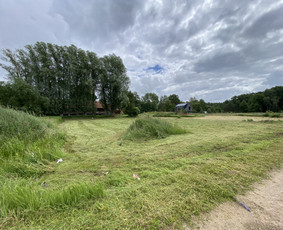 Vejos įrengimas, trinkelių klojimas / Dirvita / Darbų pavyzdys ID 3471936