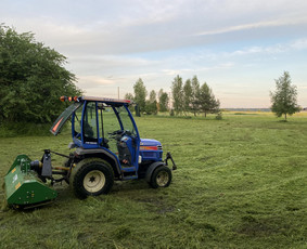 Vejos įrengimas, trinkelių klojimas - Žolės pjovimas - 1 Žolės pjovimas - Vejos įrengimas, trinkelių klojimas - 1