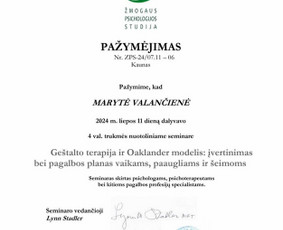 Psichologinės konsultacijos ir terapinis darbas / Marytė Valančienė / Darbų pavyzdys ID 3472520
