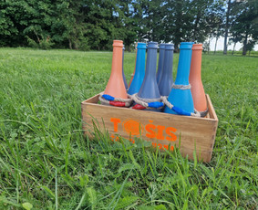 Lauko žaidimų nuoma / TOŠIS - žaidimų nuoma / Darbų pavyzdys ID 3473174