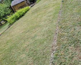 Žolės pjovimas - Žolės pjovimas, sklypų tvarkymas, &scaron;ienavimas, mulčiavimas - 3