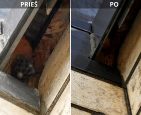 Kenkėjų naikinimas 24/7 Vilniuje / UAB "Utenos deratizacija" | Derapro / Darbų pavyzdys ID 3473674