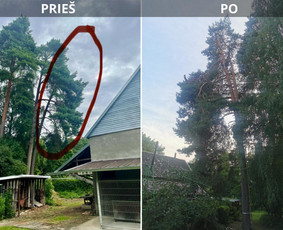 Avarinių medžių pjovimo paslaugos. / Rimas. M.- (Aboristas) / Darbų pavyzdys ID 3476108