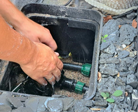 Aplinka, sodas - Automatinių laistymo sistemų profesionalai - 4