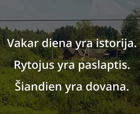 Vaizdo ir garso įrašų skaitmenizavimas, redagavimas. - Video montavimas - 3 Video montavimas - Vaizdo ir garso įrašų skaitmenizavimas, redagavimas. - 3