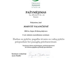 Psichologo konsultacijos gyvai ir nuotoliu - Vaikų psichologai - 3 Vaikų psichologai - Psichologo konsultacijos gyvai ir nuotoliu - 3
