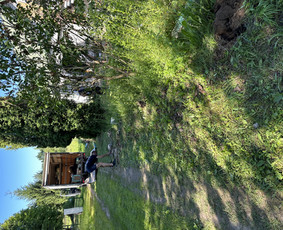 Griovimas/demontavimas - šiukšlių/baldų išvežimas / Griovimo Asai / Darbų pavyzdys ID 3479662