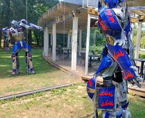 Robotas atvyks į jūsų gimtadienį ar šventę ir pasveikins jus. Atrodo įspūdingai, bendrauja su vaikais, bei fotografuojasi.