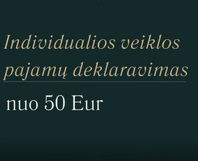 Paslaugos verslui - Finansinės apskaitos paslaugos - 4