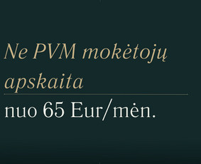 Paslaugos verslui - Finansinės apskaitos paslaugos - 2