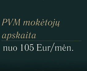 Paslaugos verslui - Finansinės apskaitos paslaugos - 3