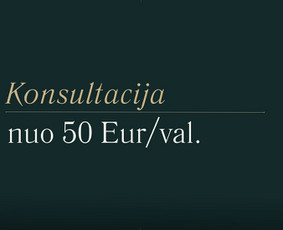 Buhalterio konsultacija - Finansinės apskaitos paslaugos - 2