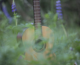 Būgnai, fortepijonas, dainavimas, fleita, smuikas, gitara / Muzikinio ugdymo studija „MUZIKALI LAPĖ“ / Darbų pavyzdys ID 3484034