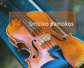 Būgnai, fortepijonas, dainavimas, fleita, smuikas, gitara - Smuiko pamokos - 1 Smuiko pamokos - Būgnai, fortepijonas, dainavimas, fleita, smuikas, gitara - 1