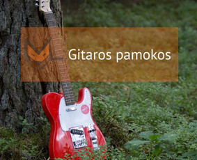 Būgnai, fortepijonas, dainavimas, fleita, smuikas, gitara / Muzikinio ugdymo studija „MUZIKALI LAPĖ“ / Darbų pavyzdys ID 3484306