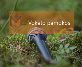 Būgnai, fortepijonas, dainavimas, fleita, smuikas, gitara - Privačios vokalo pamokos - 1 Privačios vokalo pamokos - Būgnai, fortepijonas, dainavimas, fleita, smuikas, gitara - 1