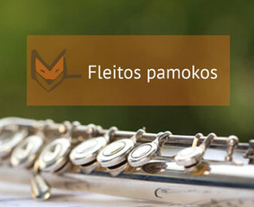Būgnai, fortepijonas, dainavimas, fleita, smuikas, gitara / Muzikinio ugdymo studija „MUZIKALI LAPĖ“ / Darbų pavyzdys ID 3484310