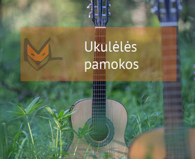 Būgnai, fortepijonas, dainavimas, fleita, smuikas, gitara - Ukulėlės pamokos - 1 Ukulėlės pamokos - Būgnai, fortepijonas, dainavimas, fleita, smuikas, gitara - 1