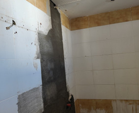Santechnikos, renovacijos ir plataus profilio statyba, menas / Linas Tallat-Kelpša / Darbų pavyzdys ID 3484326