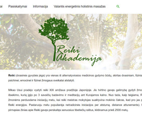 Nuo idėjos iki profesionaliai veikiančio projekto / Interneto svetainių kūrimas / Darbų pavyzdys ID 3485376