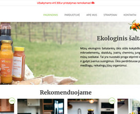 Nuo idėjos iki profesionaliai veikiančio projekto / Interneto svetainių kūrimas / Darbų pavyzdys ID 3485384