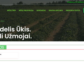 Nuo Jūsų idėjos iki veikiančio projekto vos vienas žingsnis - Programavimas su WordPress - 4 Programavimas su WordPress - Nuo Jūsų idėjos iki veikiančio projekto vos vienas žingsnis - 4
