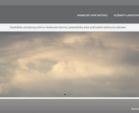 Svetainių kūrimas - Nuo Jūsų idėjos iki veikiančio projekto vos vienas žingsnis - 3