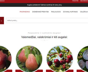 Nuo Jūsų idėjos iki veikiančio projekto vos vienas žingsnis - Svetainių kūrimas - 4 Svetainių kūrimas - Nuo Jūsų idėjos iki veikiančio projekto vos vienas žingsnis - 4