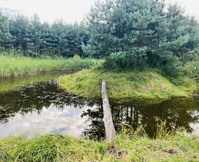 Minijos slėnis, poilsis ir žvejyba / Karolis Preibys / Darbų pavyzdys ID 3486058