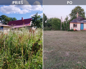 Žolės pjovimas trimeriu, vėjapjove, traktoriuku Vilniaus r. - Vejos priežiūra, įrengimas - 2 Vejos priežiūra, įrengimas - Žolės pjovimas trimeriu, vėjapjove, traktoriuku Vilniaus r. - 2